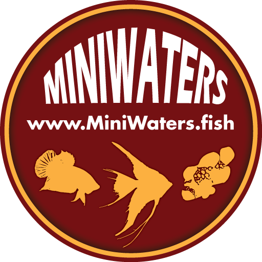 Shop MiniWaters.FISH – Online Aquarium & Vivarium Boutique
