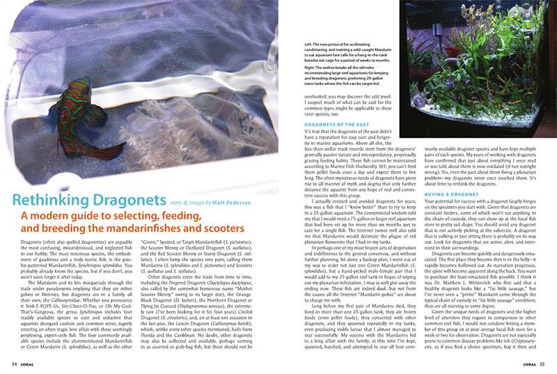 Rethinking Dragonets outlines my training protocol for weaning wild caught mandarinfish onto prepared aquarium diets. You can read it as a CORAL Magazine Subscriber via the digital archives, or buy the back issue online.