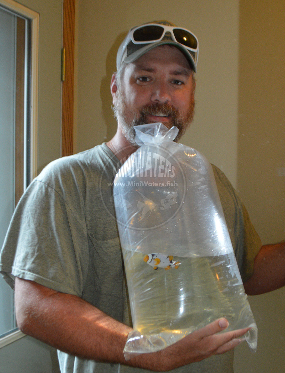 Me and an A-Grade Bali Aquarich Nebula Percula. Check out all that water and air!