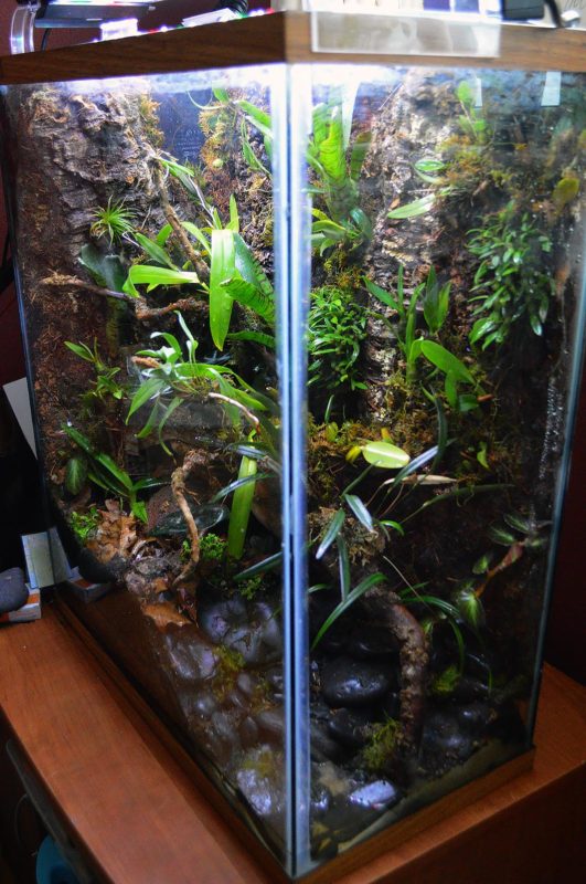 A cracked 20 X-high found on the roadside was reclaimed to create this stunning vivarium for my wife's 3rd-grade classroom.