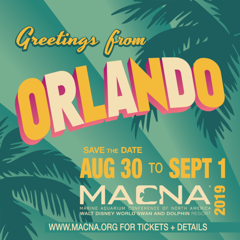 Are you going to attend MACNA 2019 in Orlando, Florida? August 30th to September 1st!